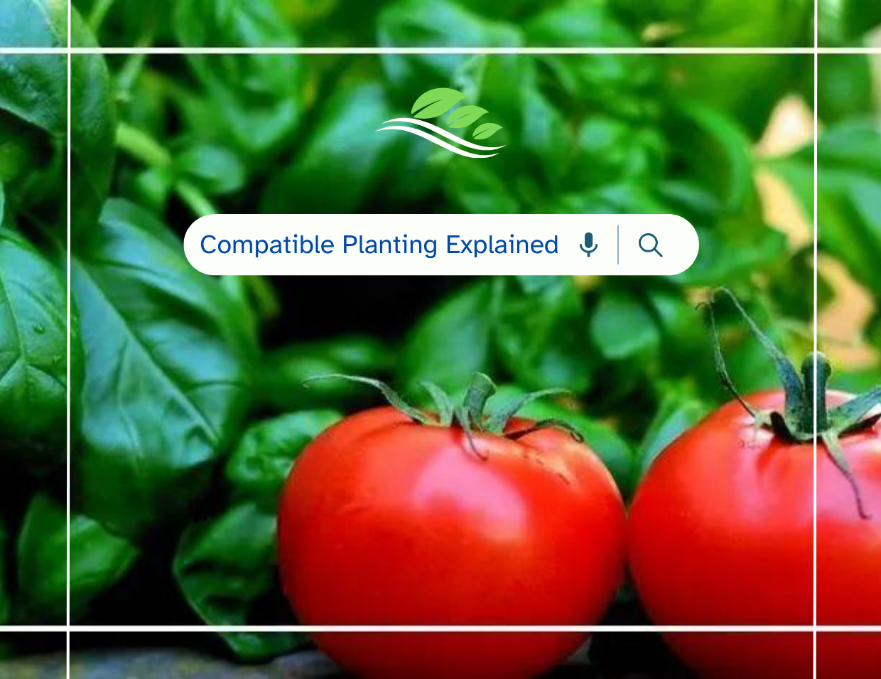 Compatible Planting Explained